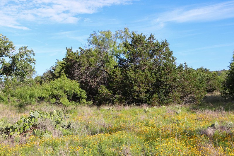 Tbd Oak Ridge Trail Kingsland TX 78639