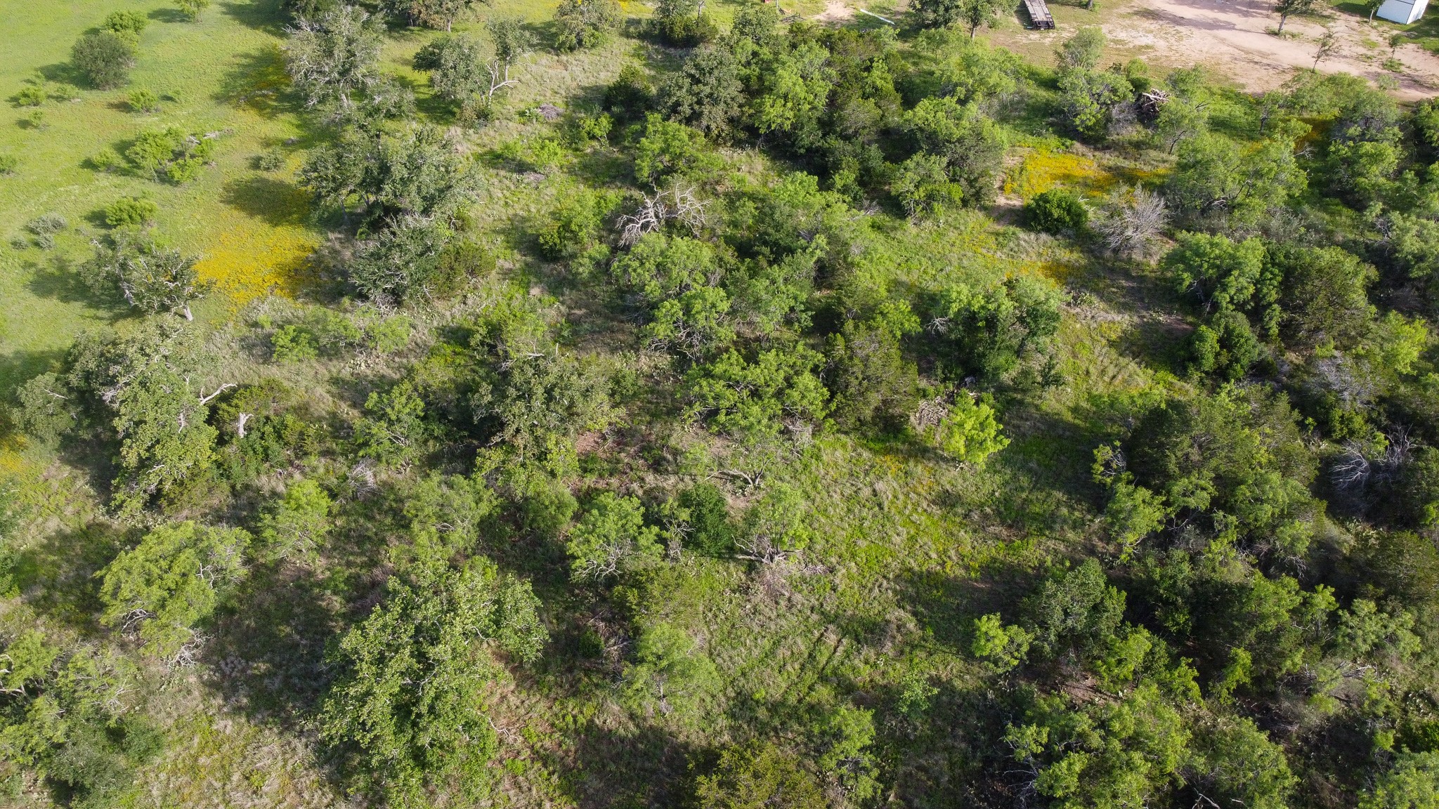 Tbd Oak Ridge Trail Kingsland TX 78639