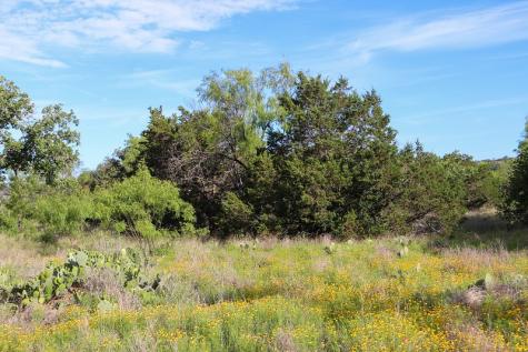 Tbd Oak Ridge Trail Kingsland TX 78639