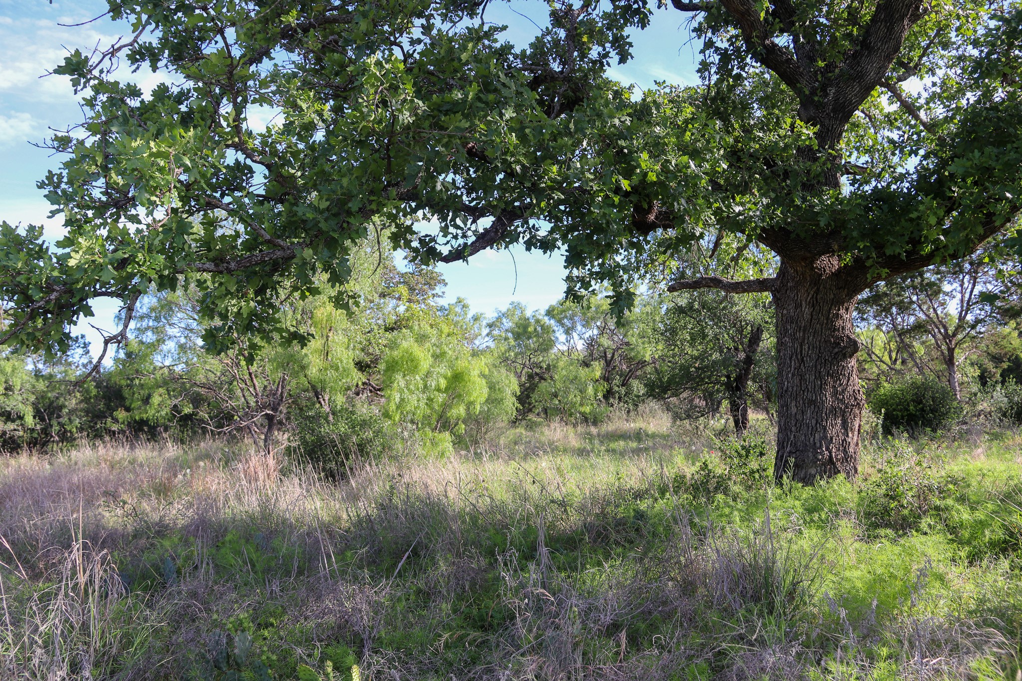 Tbd Oak Ridge Trail Kingsland TX 78639