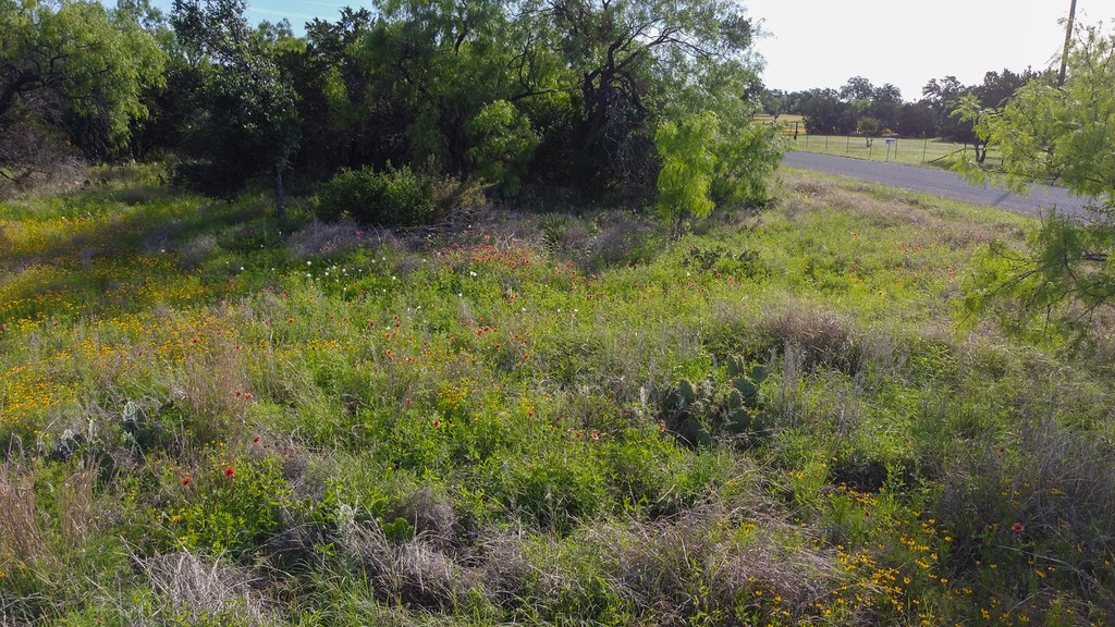 Tbd Oak Ridge Trail Kingsland TX 78639