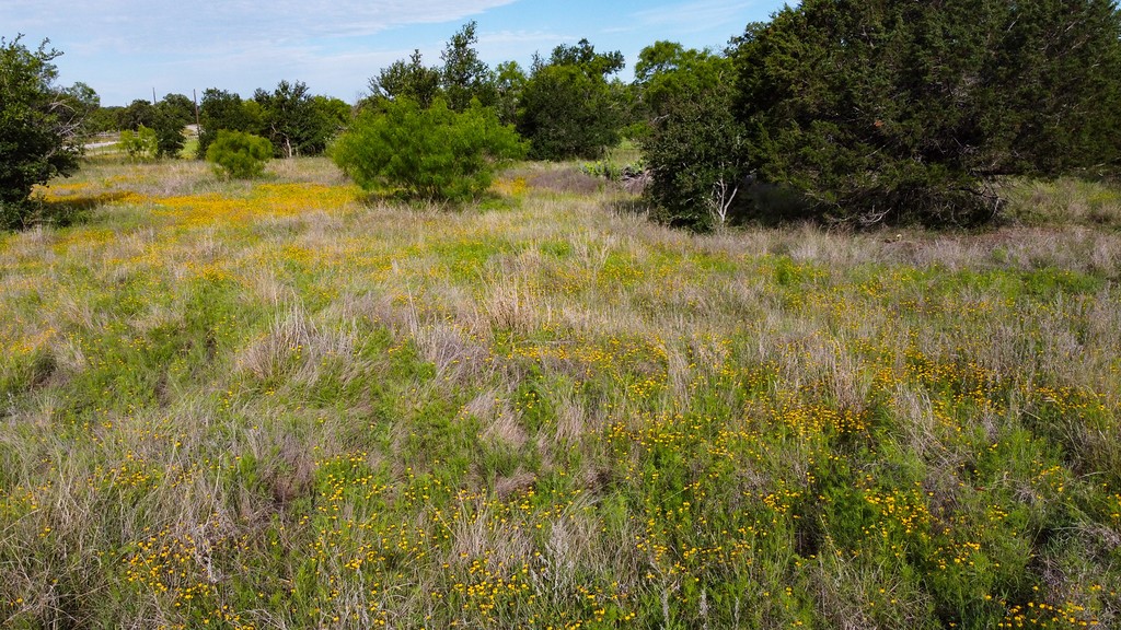 Tbd Oak Ridge Trail Kingsland TX 78639