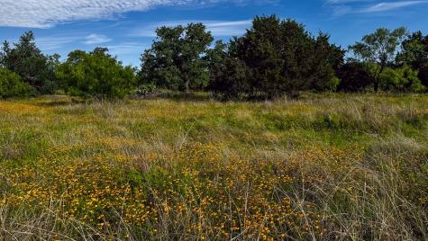 Tbd Oak Ridge Trail Kingsland TX 78639