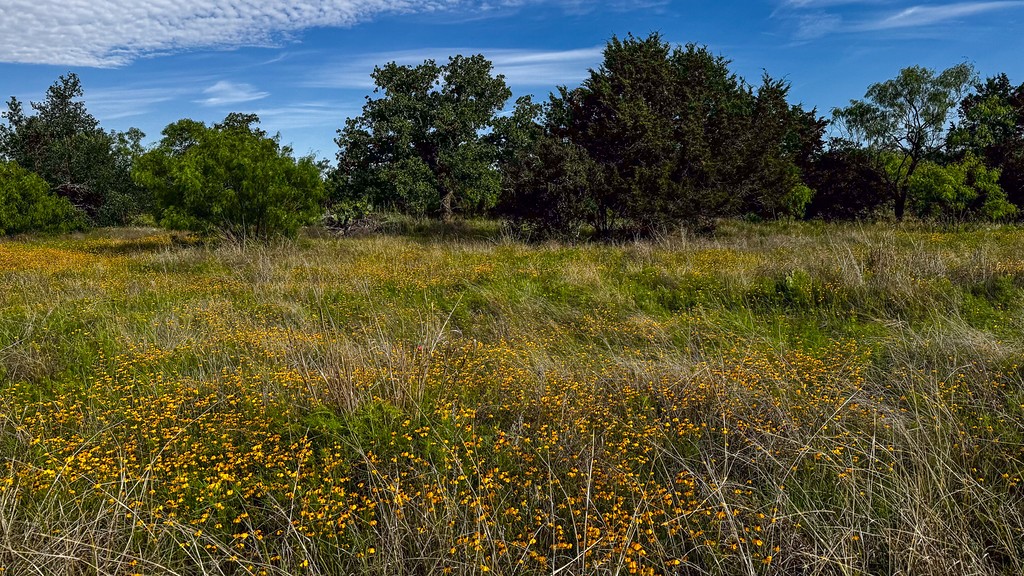 Tbd Oak Ridge Trail Kingsland TX 78639