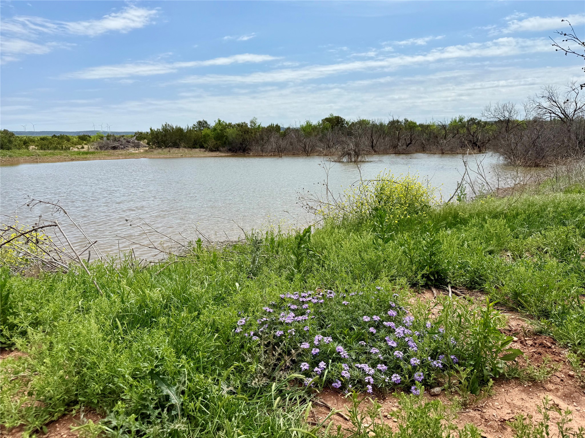 631 Cr 352 Merkel TX 79536