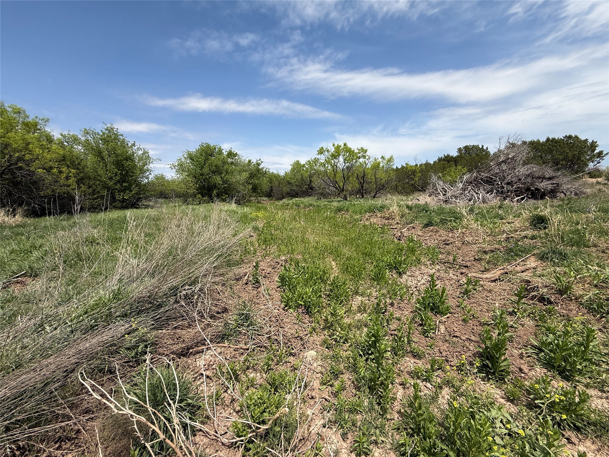 631 Cr 352 Merkel TX 79536