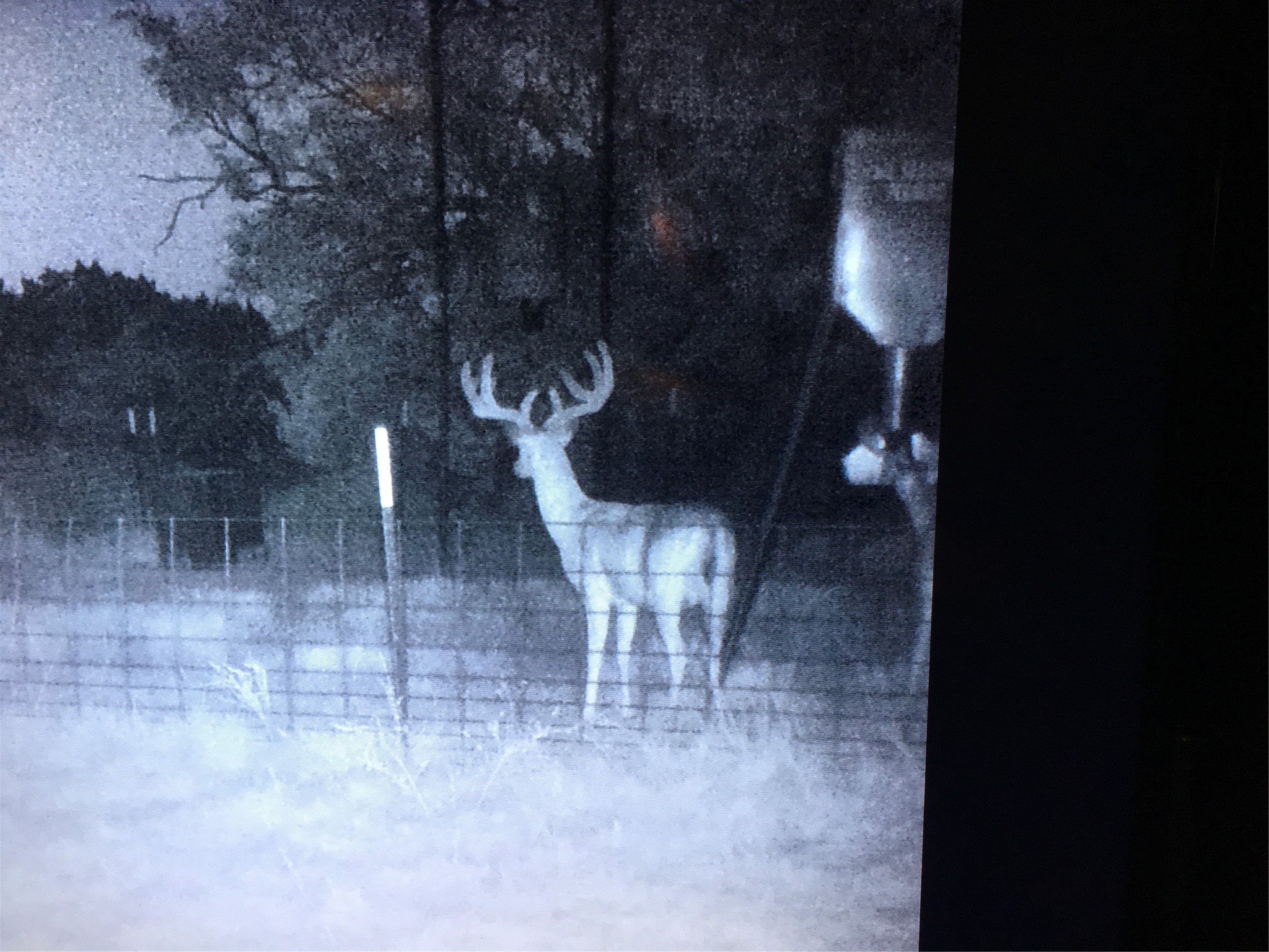 631 Cr 352 Merkel TX 79536