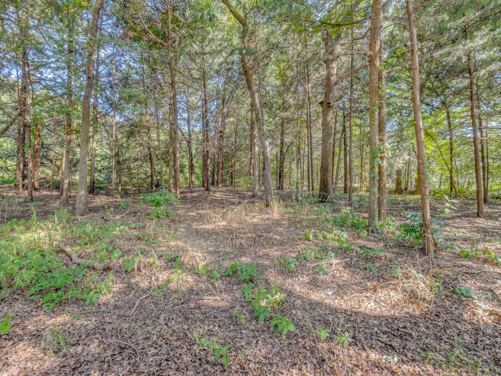 203 Pueblo Drive Lake Kiowa TX 76240