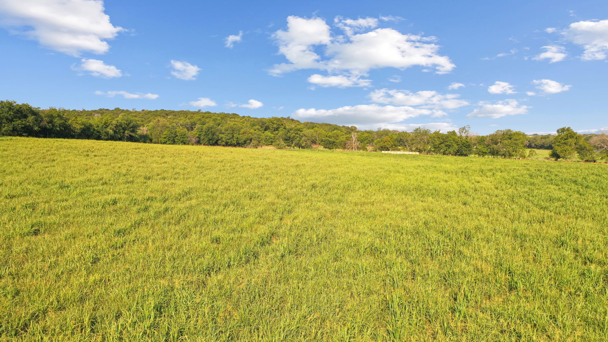2296 County Road 290 Dublin TX 76446