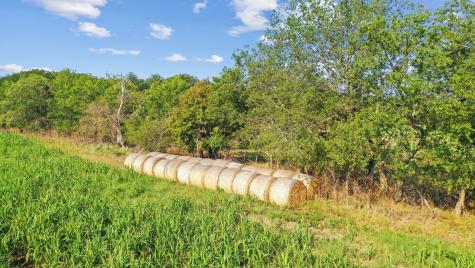 2296 County Road 290 Dublin TX 76446