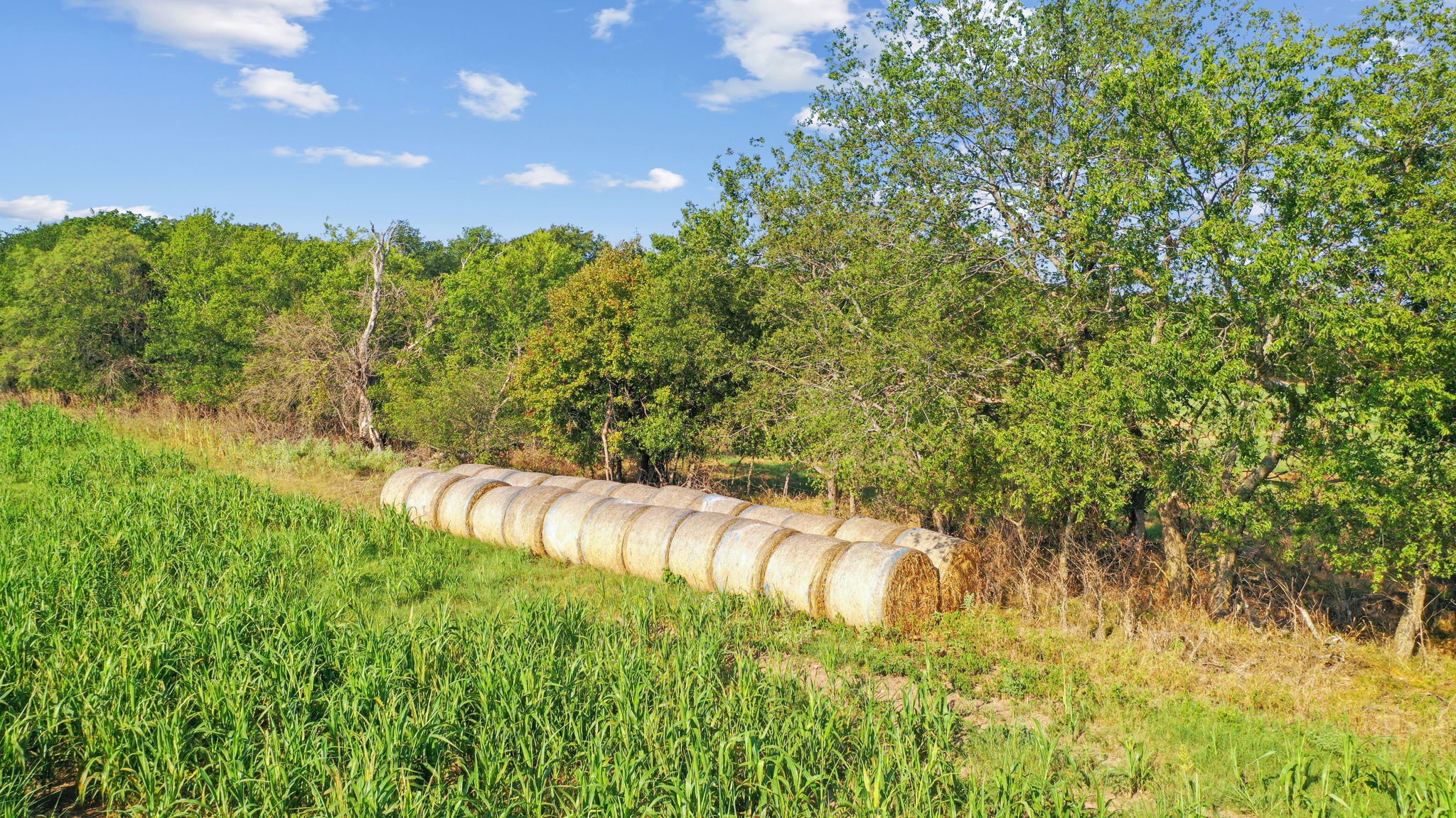 2296 County Road 290 Dublin TX 76446