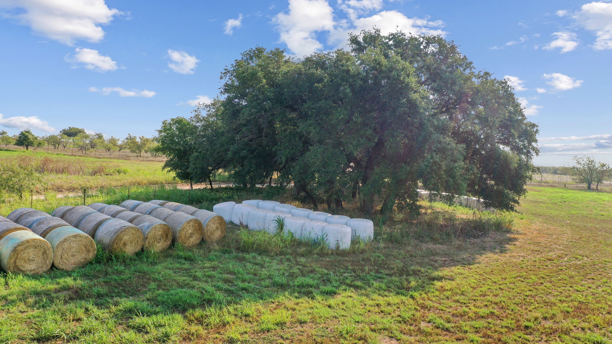 2296 County Road 290 Dublin TX 76446