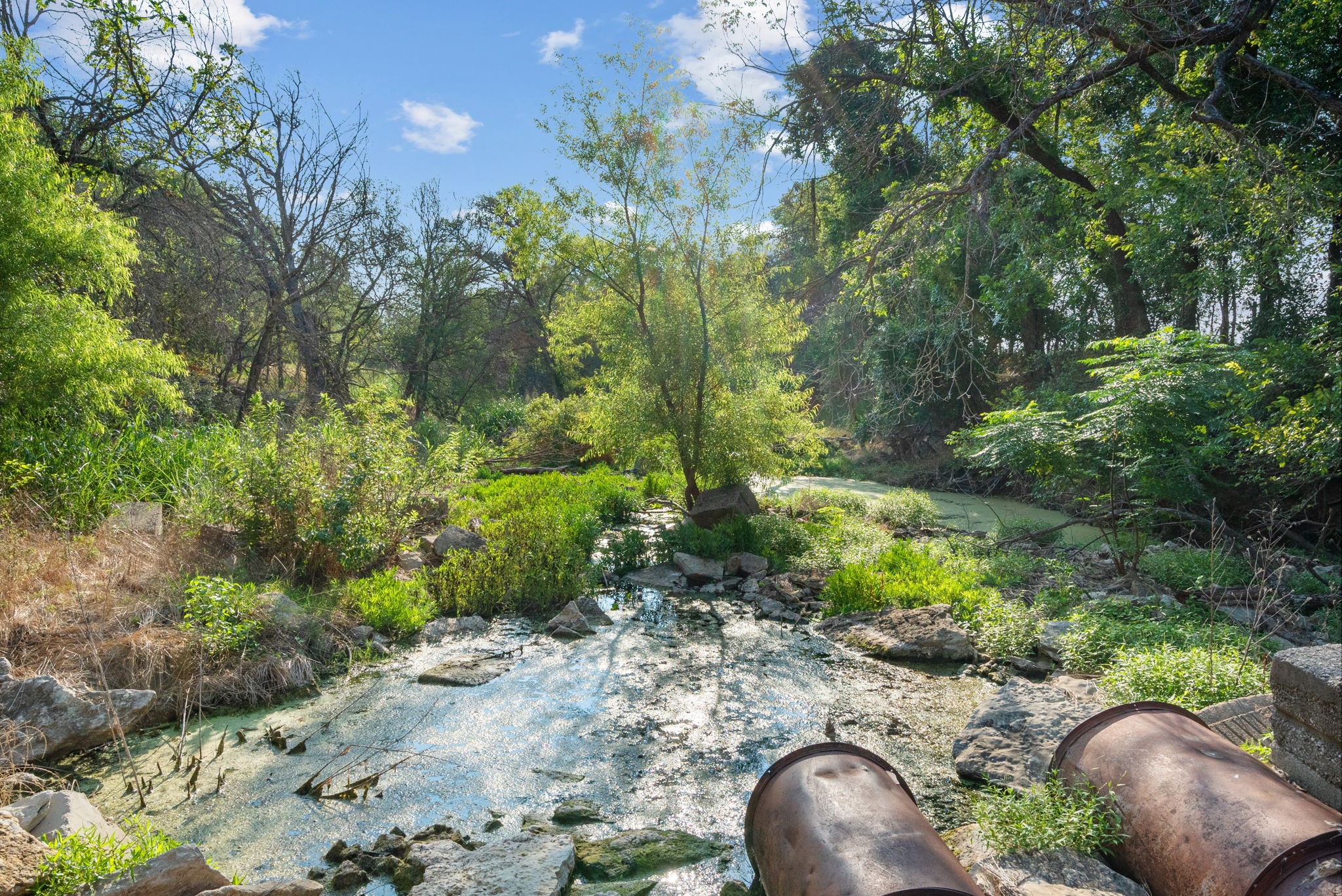 2296 County Road 290 Dublin TX 76446