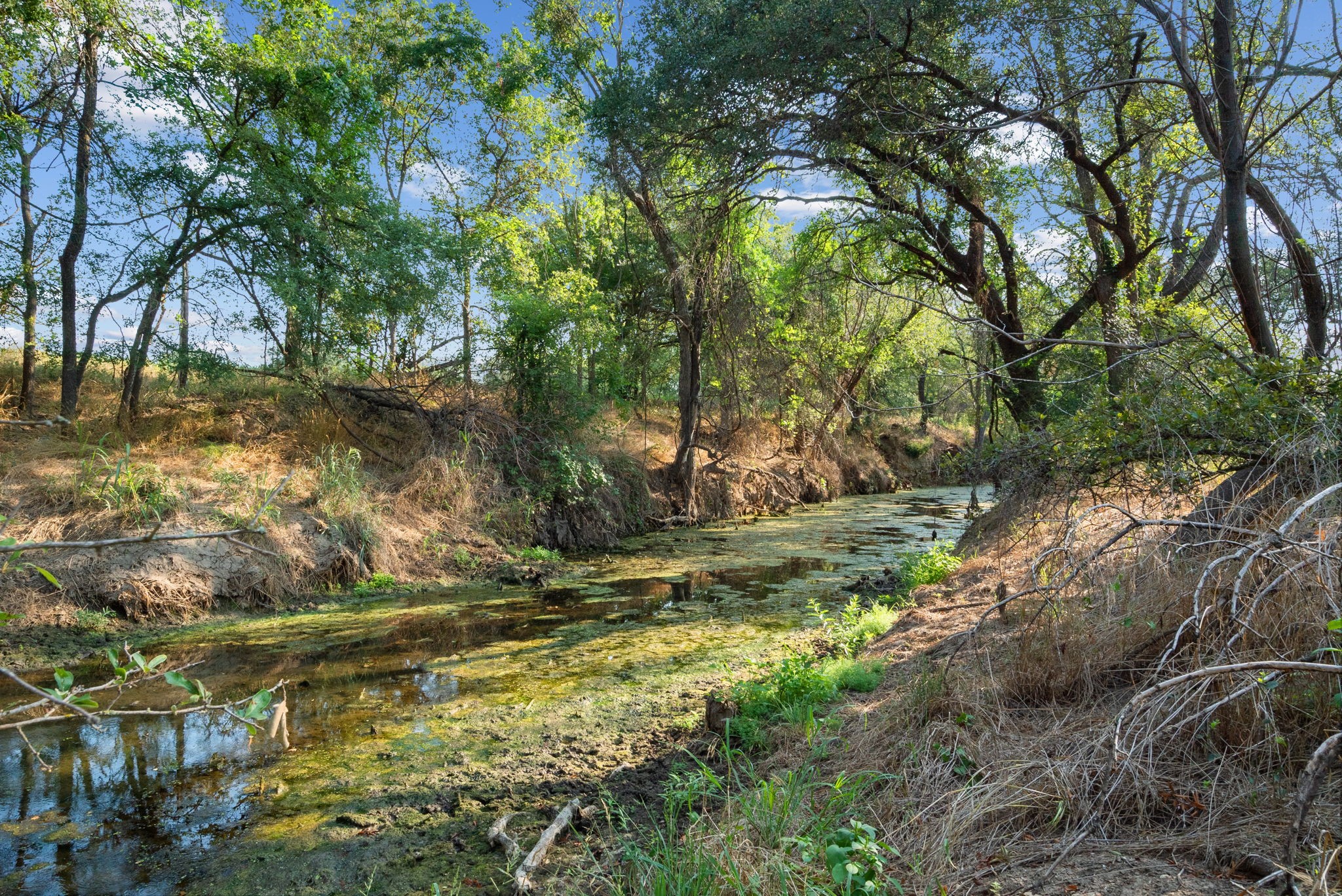 2296 County Road 290 Dublin TX 76446
