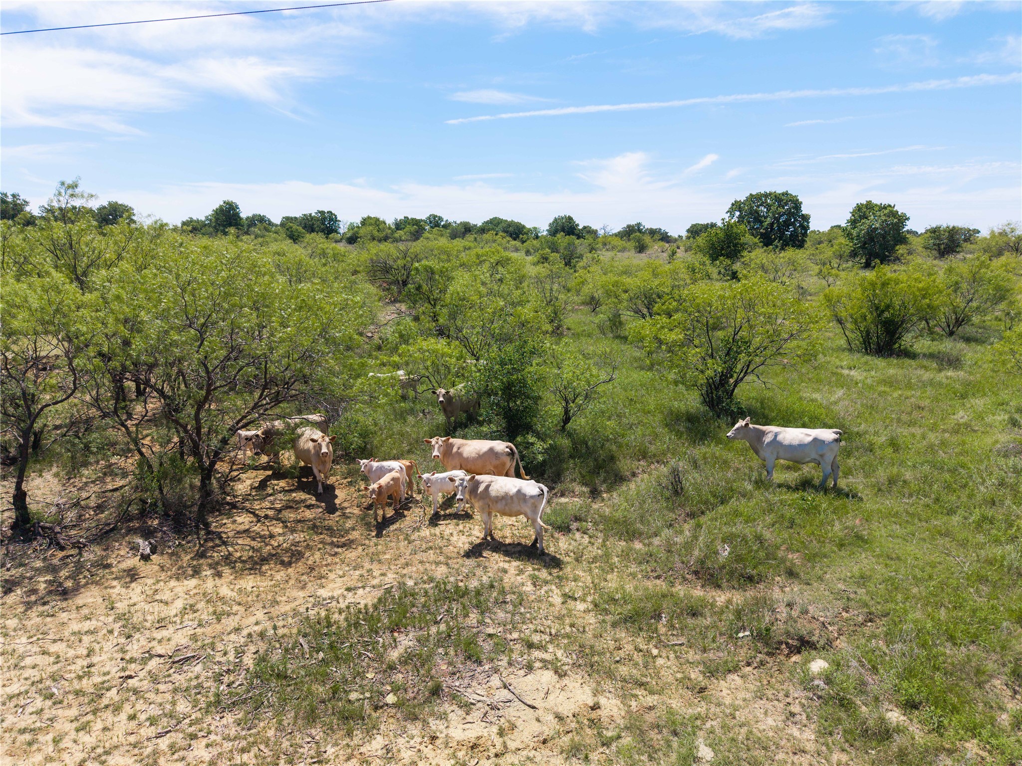 7582 Fm 2652 Loving TX 76460