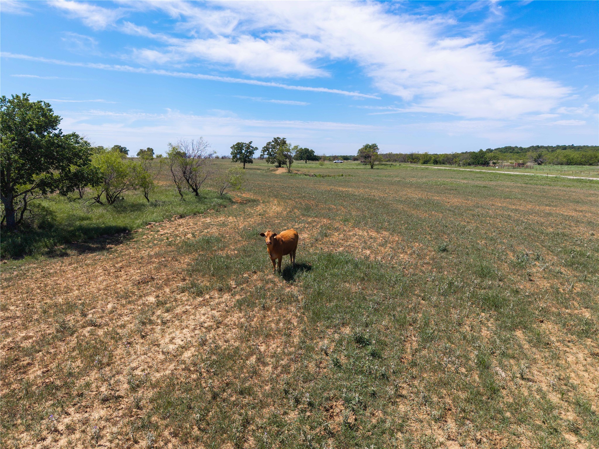 7582 Fm 2652 Loving TX 76460