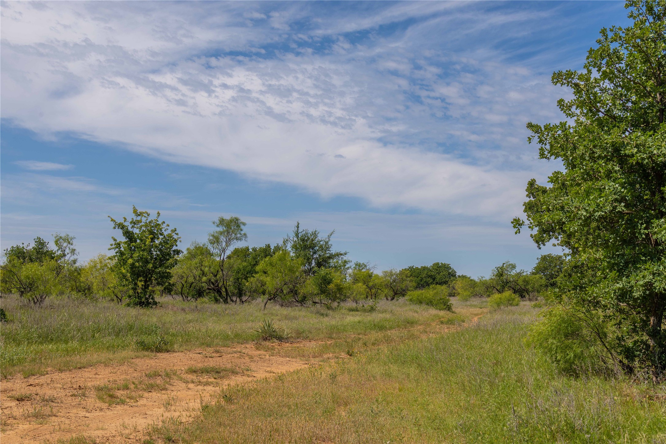 7582 Fm 2652 Loving TX 76460