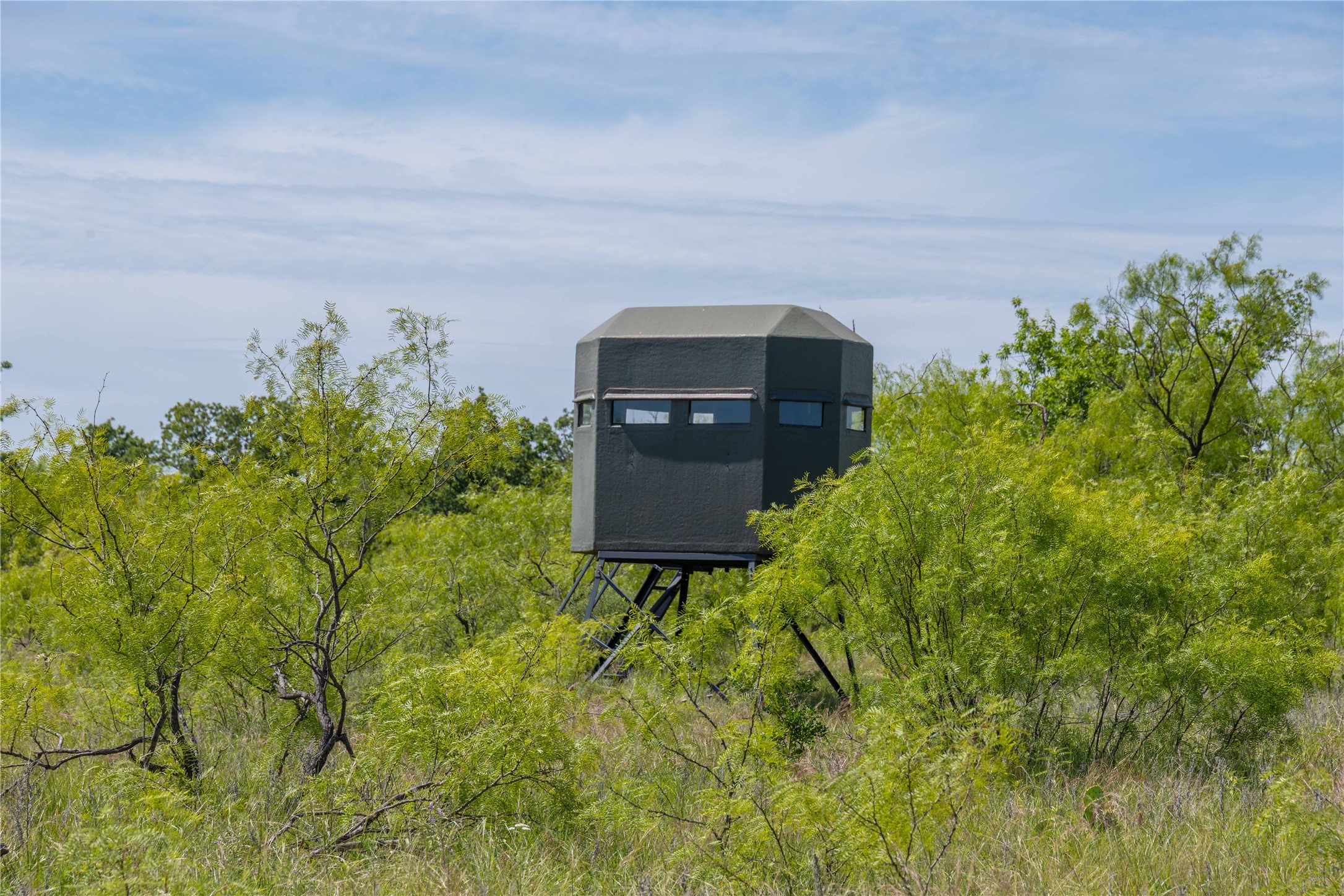 7582 Fm 2652 Loving TX 76460