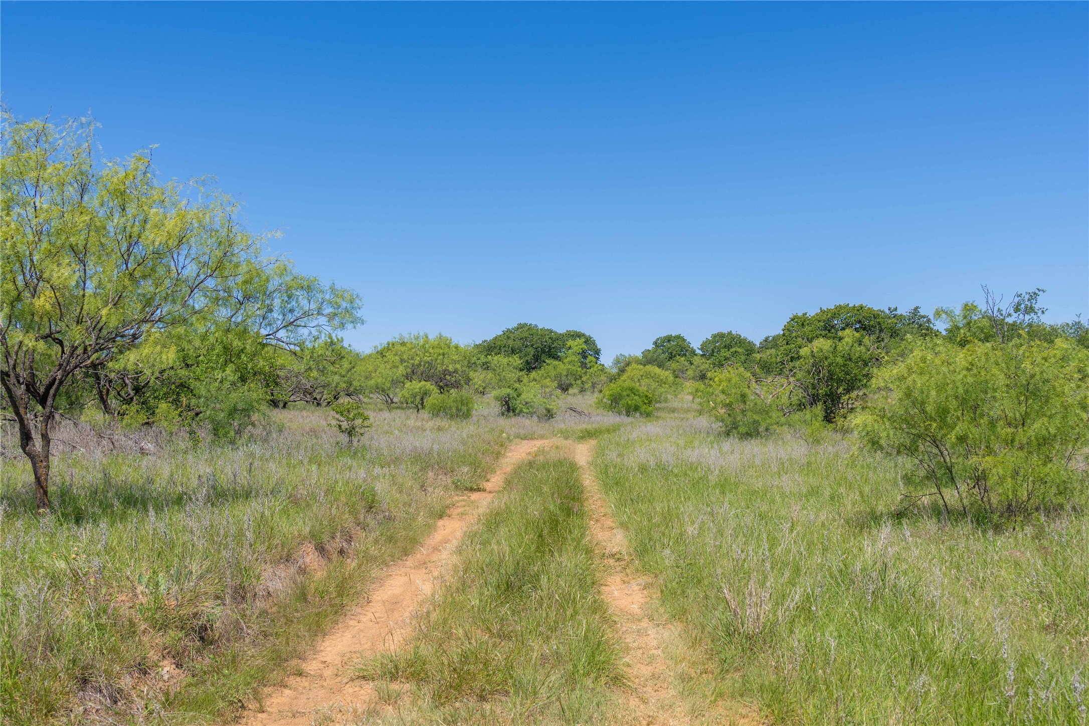 7582 Fm 2652 Loving TX 76460