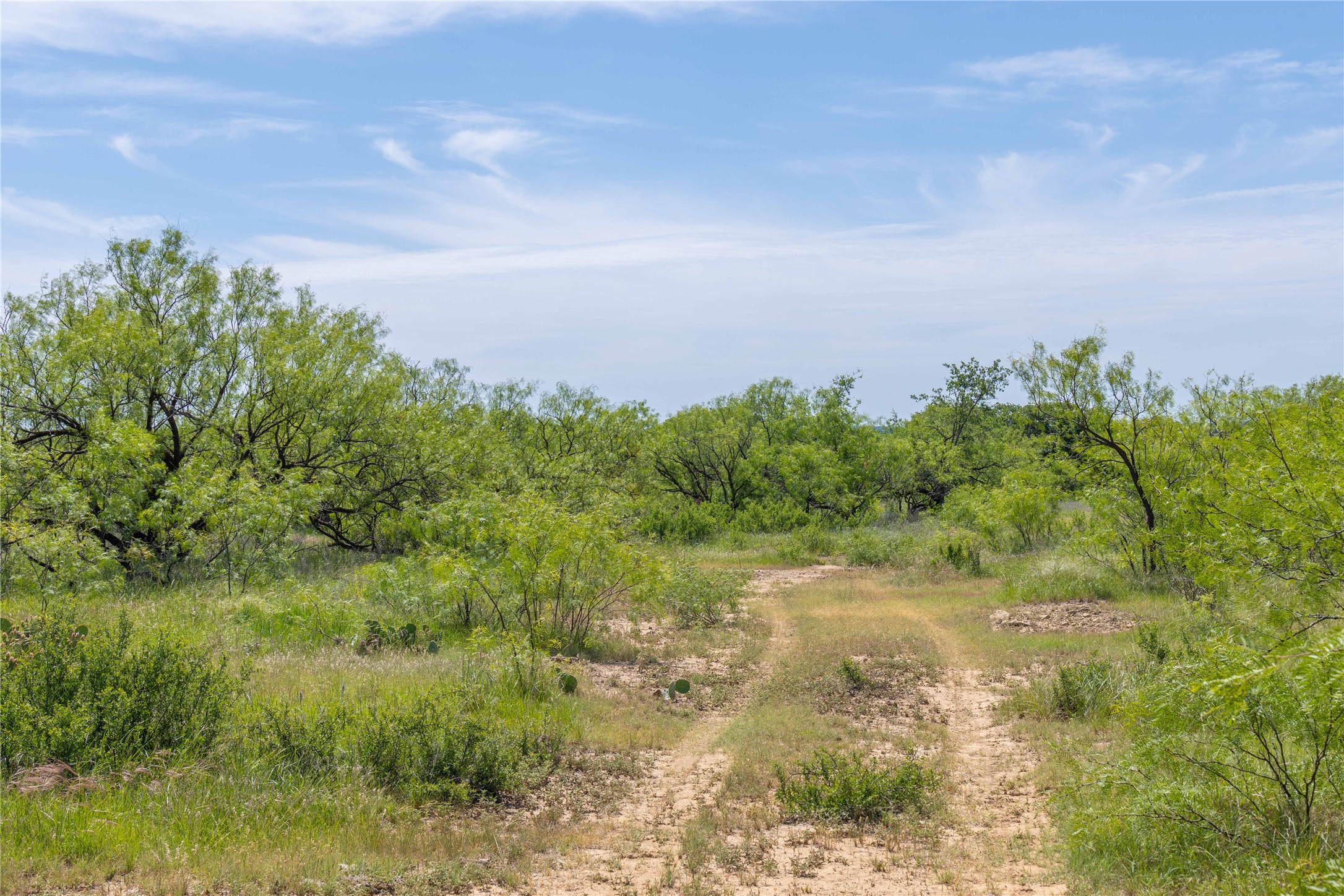 7582 Fm 2652 Loving TX 76460