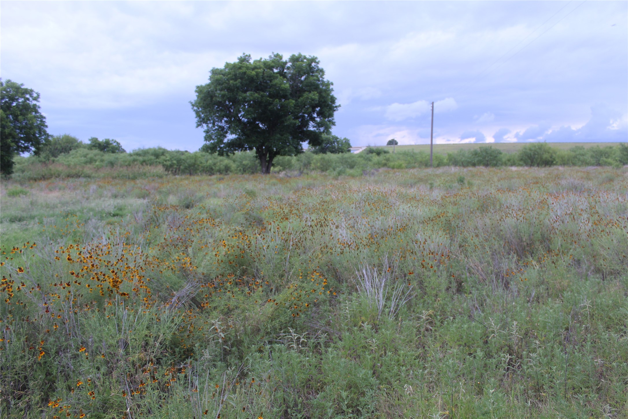 510 Hamby Road Clyde TX 79510
