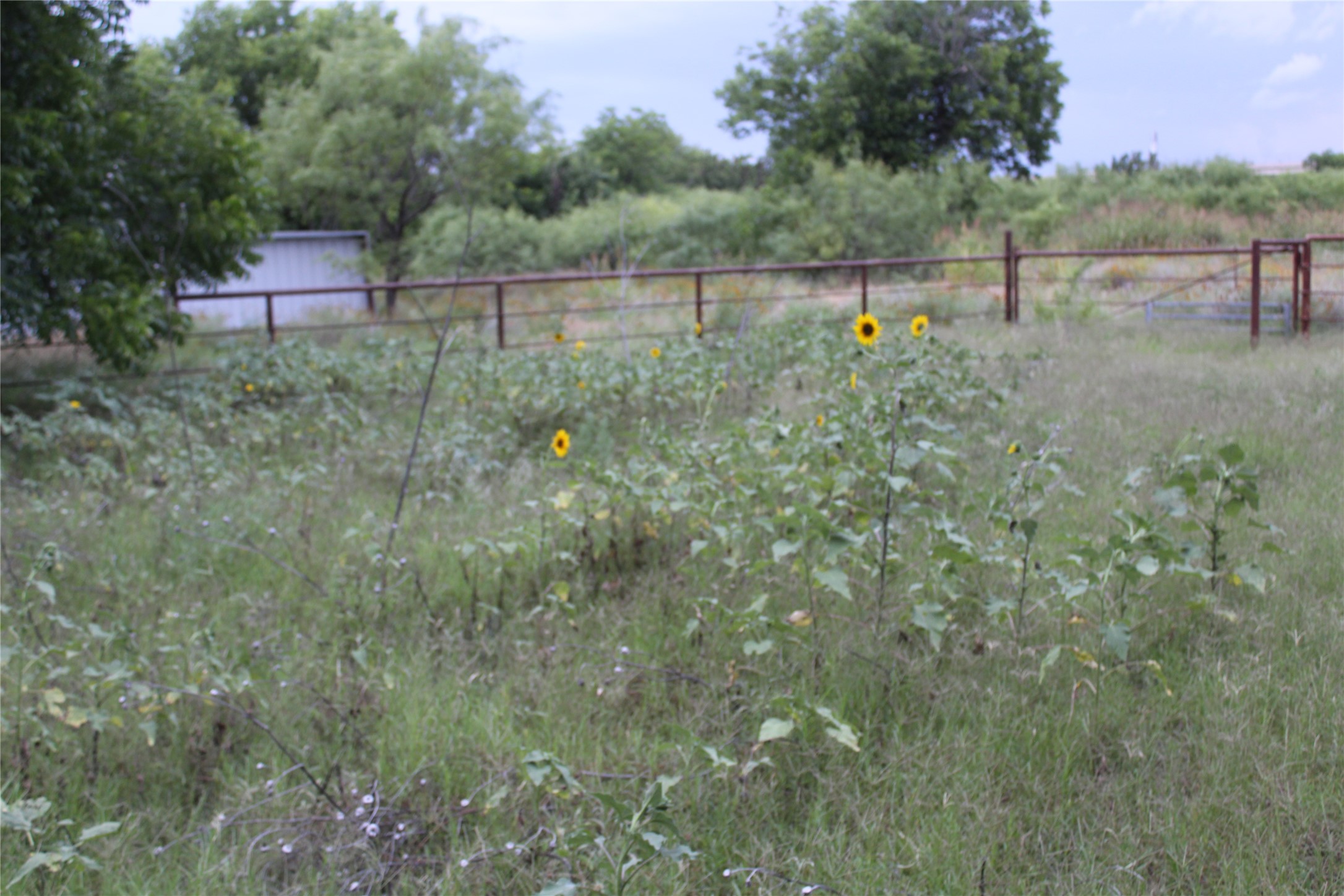 510 Hamby Road Clyde TX 79510