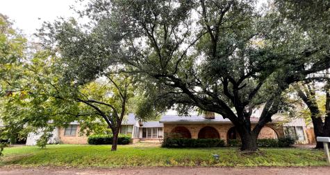419 N Collier Street Grand Saline TX 75140
