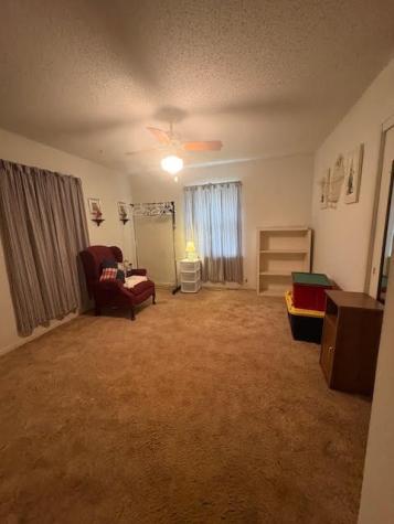 312 Radio Road Sulphur Springs TX 75482