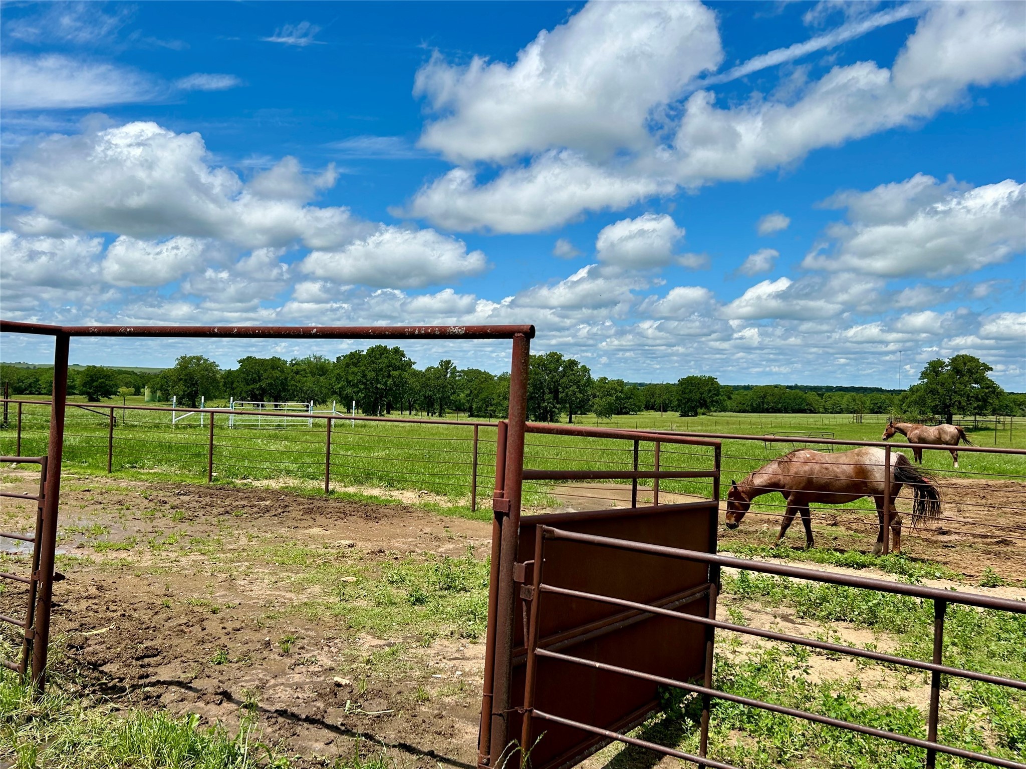 2886 S State Highway 59 Bowie TX 76230