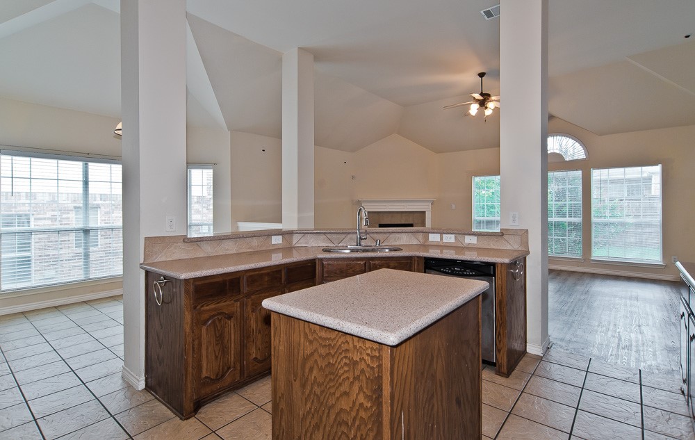 1736 Blue Stream Drive Desoto TX 75115