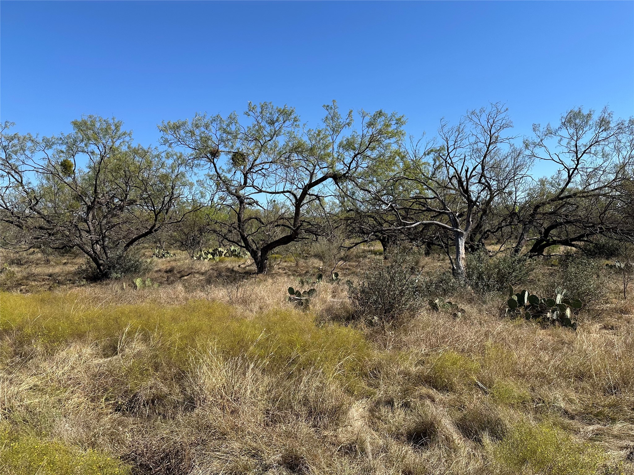 11101 County Road 228 Brownwood TX 76801