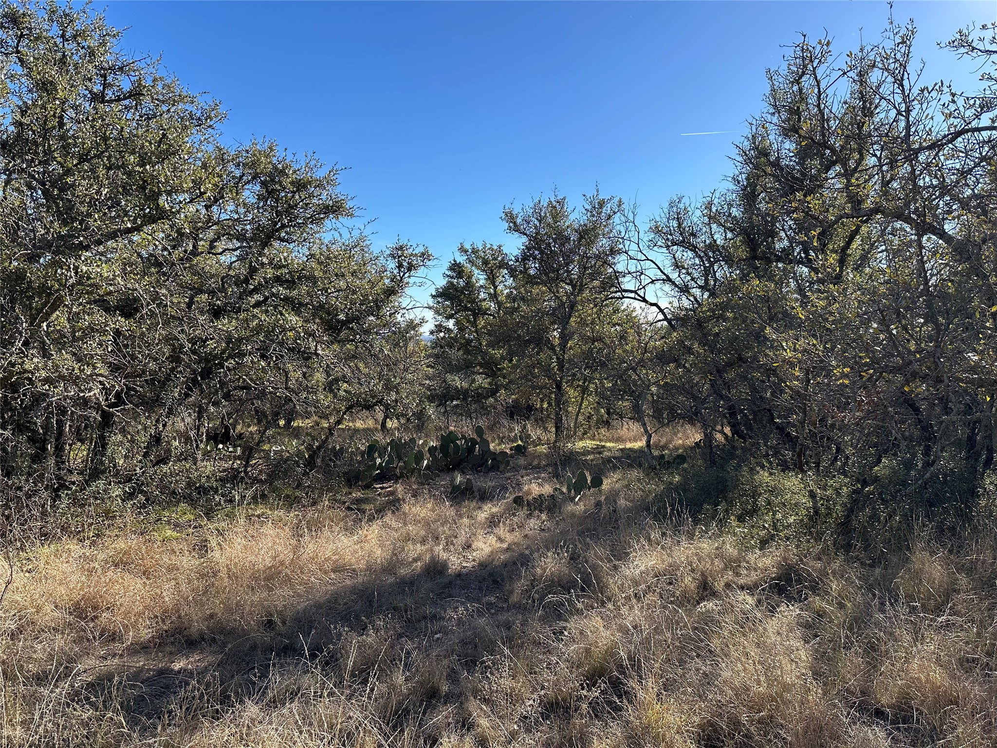 11101 County Road 228 Brownwood TX 76801