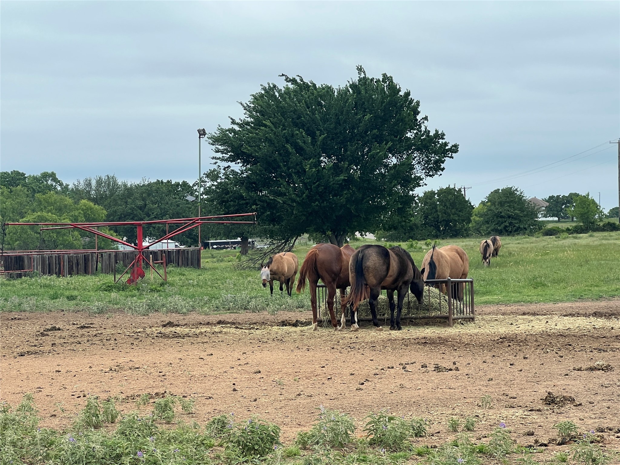 17777 Fm 920 Poolville TX 76487