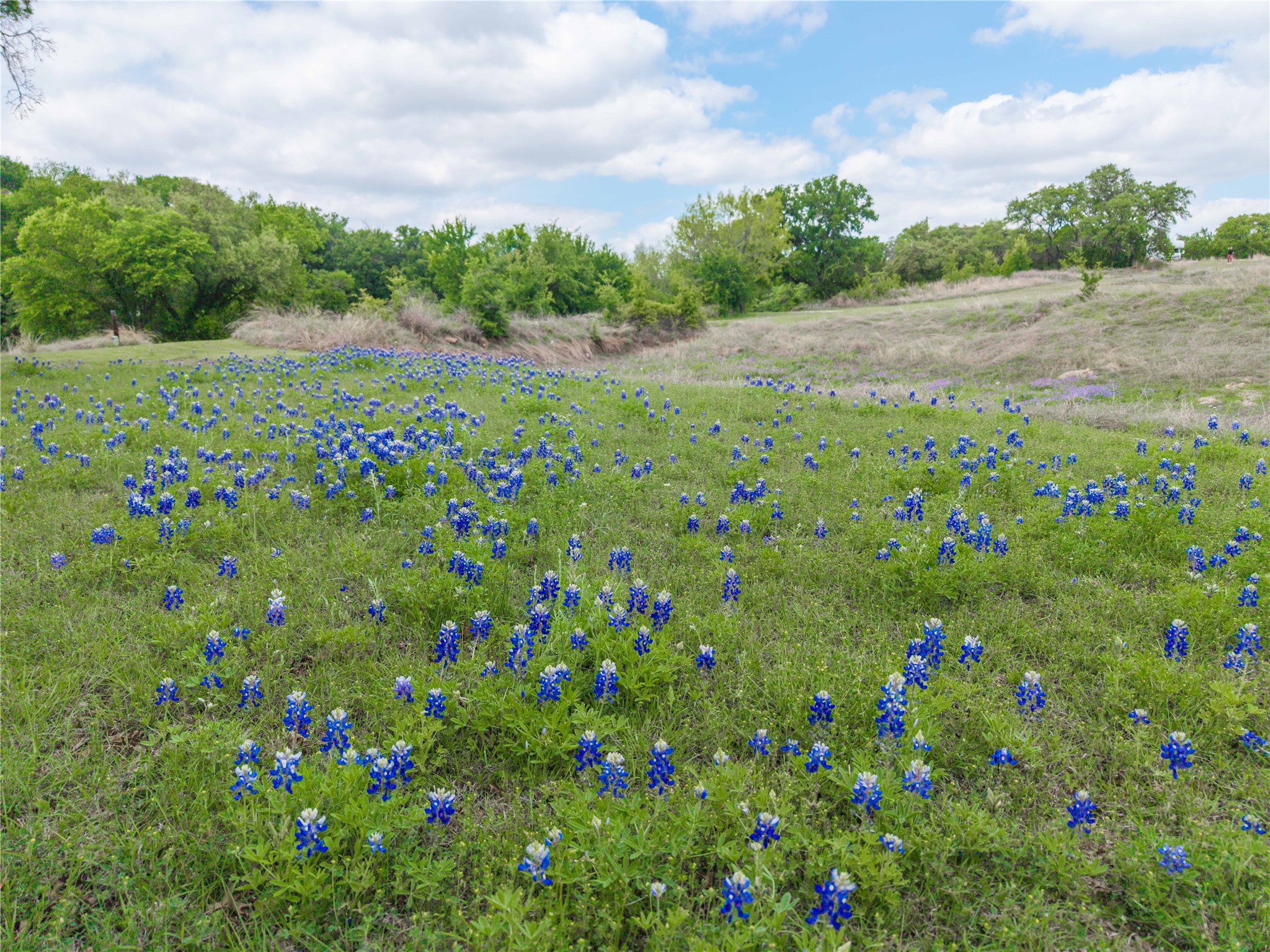 660 W County Road 549 Mullin TX 76864