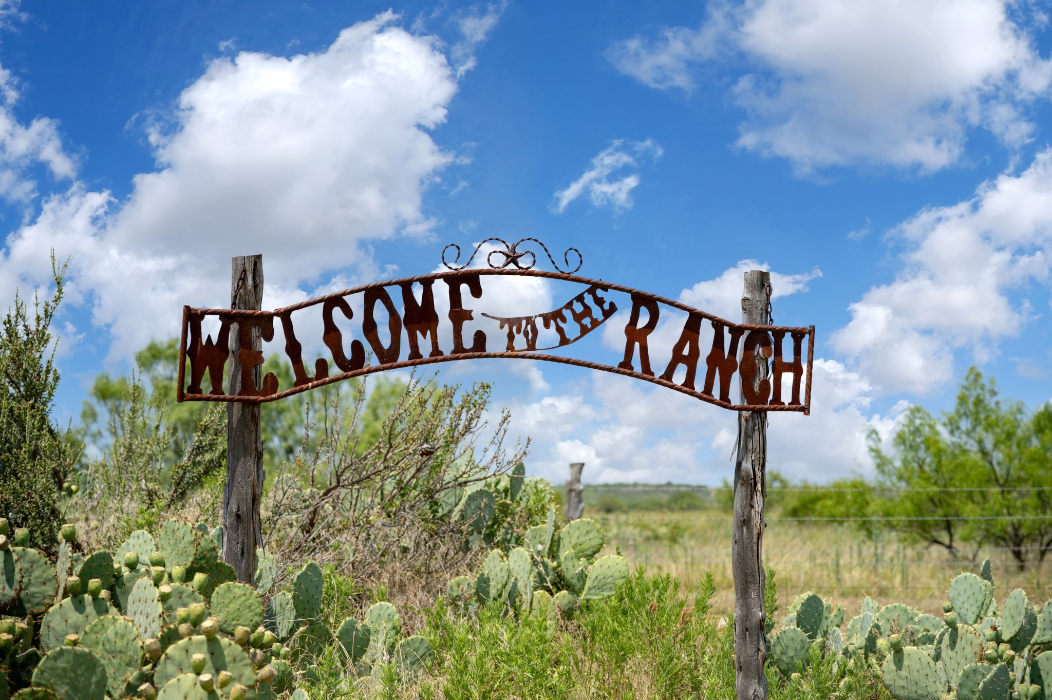 15055 County Road 306 Baird TX 76464