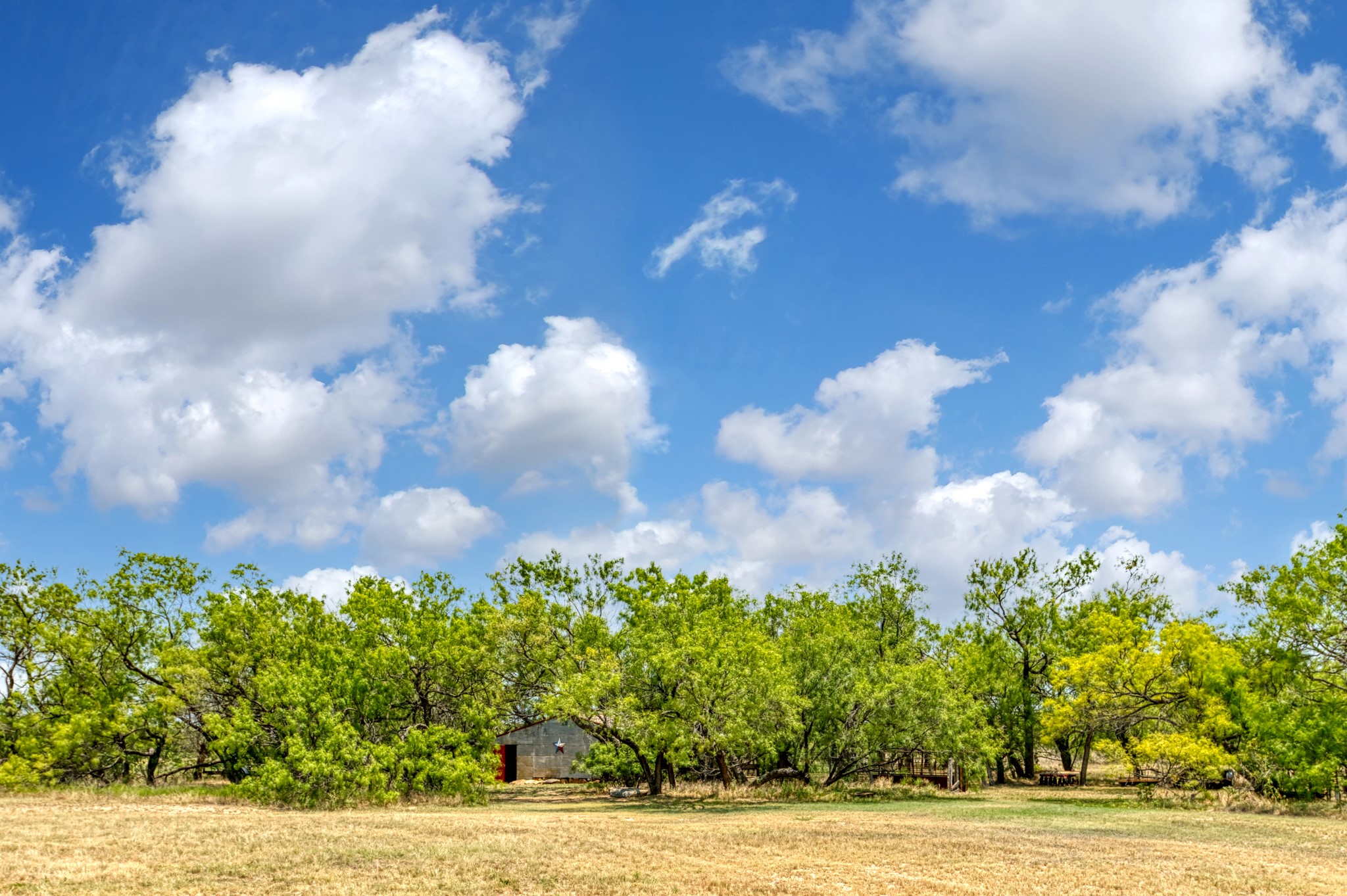 15055 County Road 306 Baird TX 76464