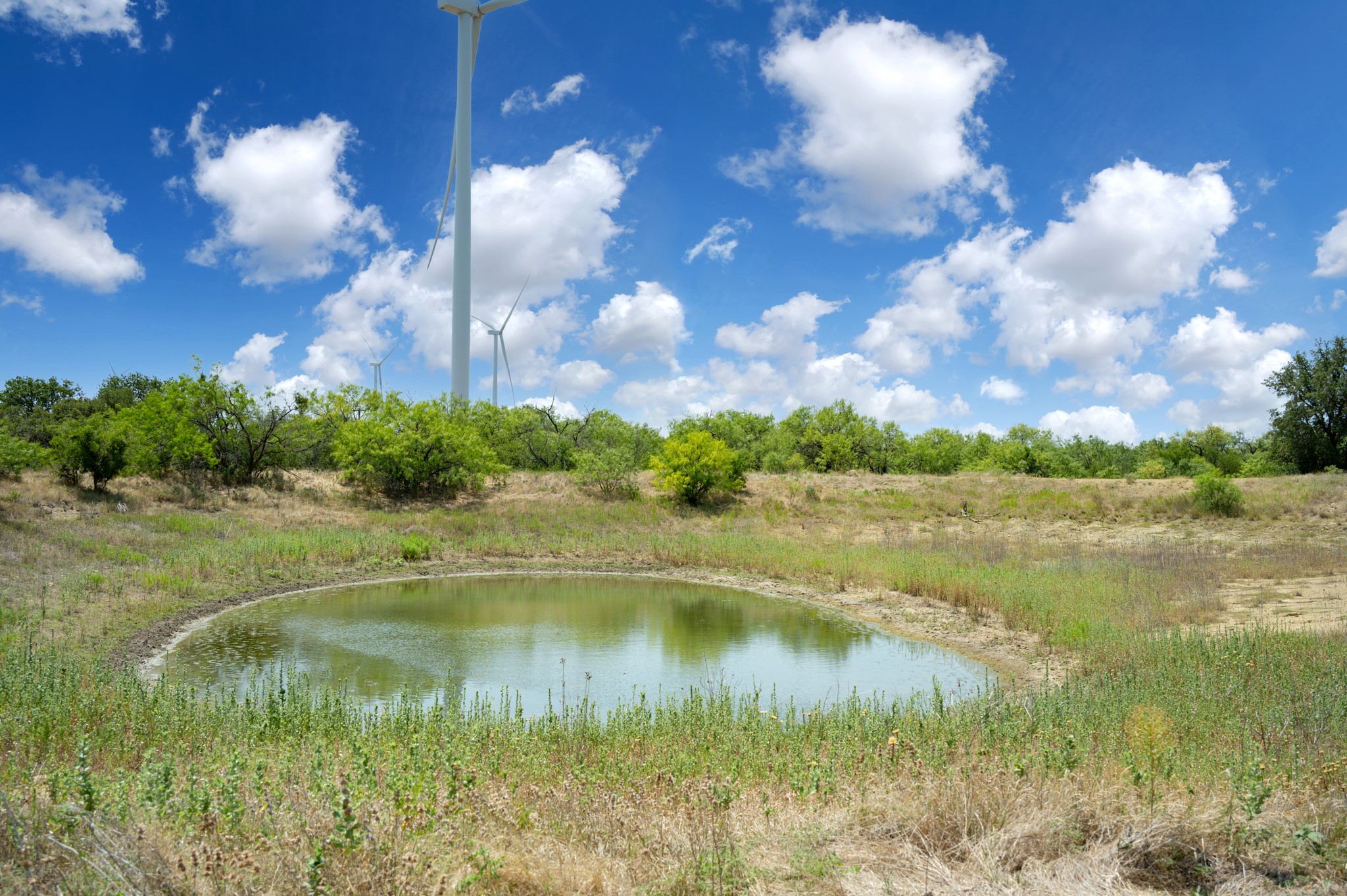 15055 County Road 306 Baird TX 76464
