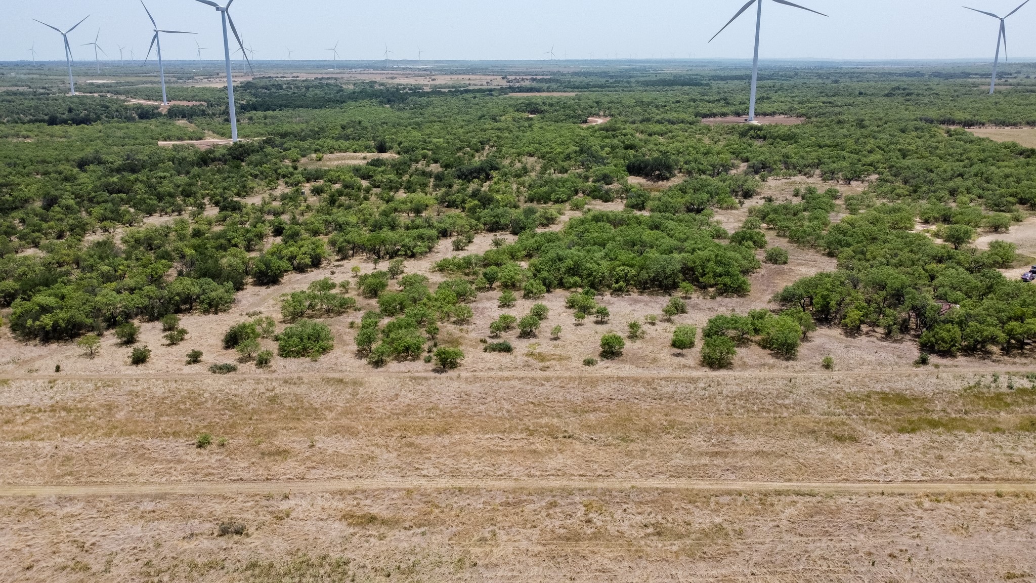 15055 County Road 306 Baird TX 76464