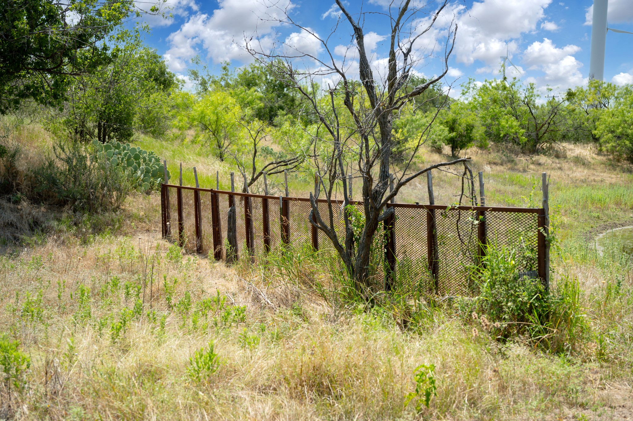 15055 County Road 306 Baird TX 76464