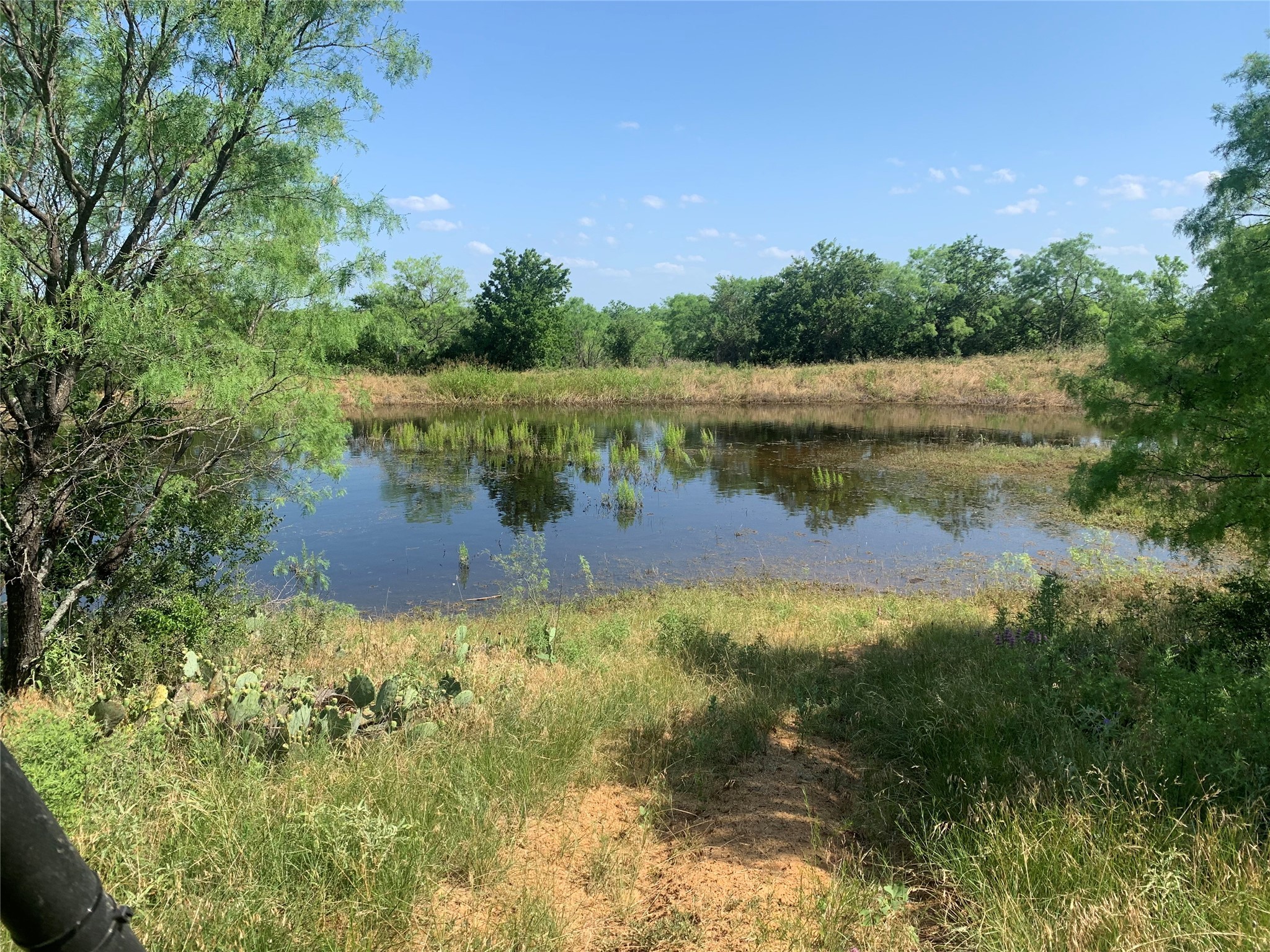 573 County Road 412 Carbon TX 76435