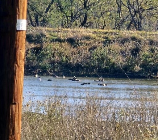 573 County Road 412 Carbon TX 76435