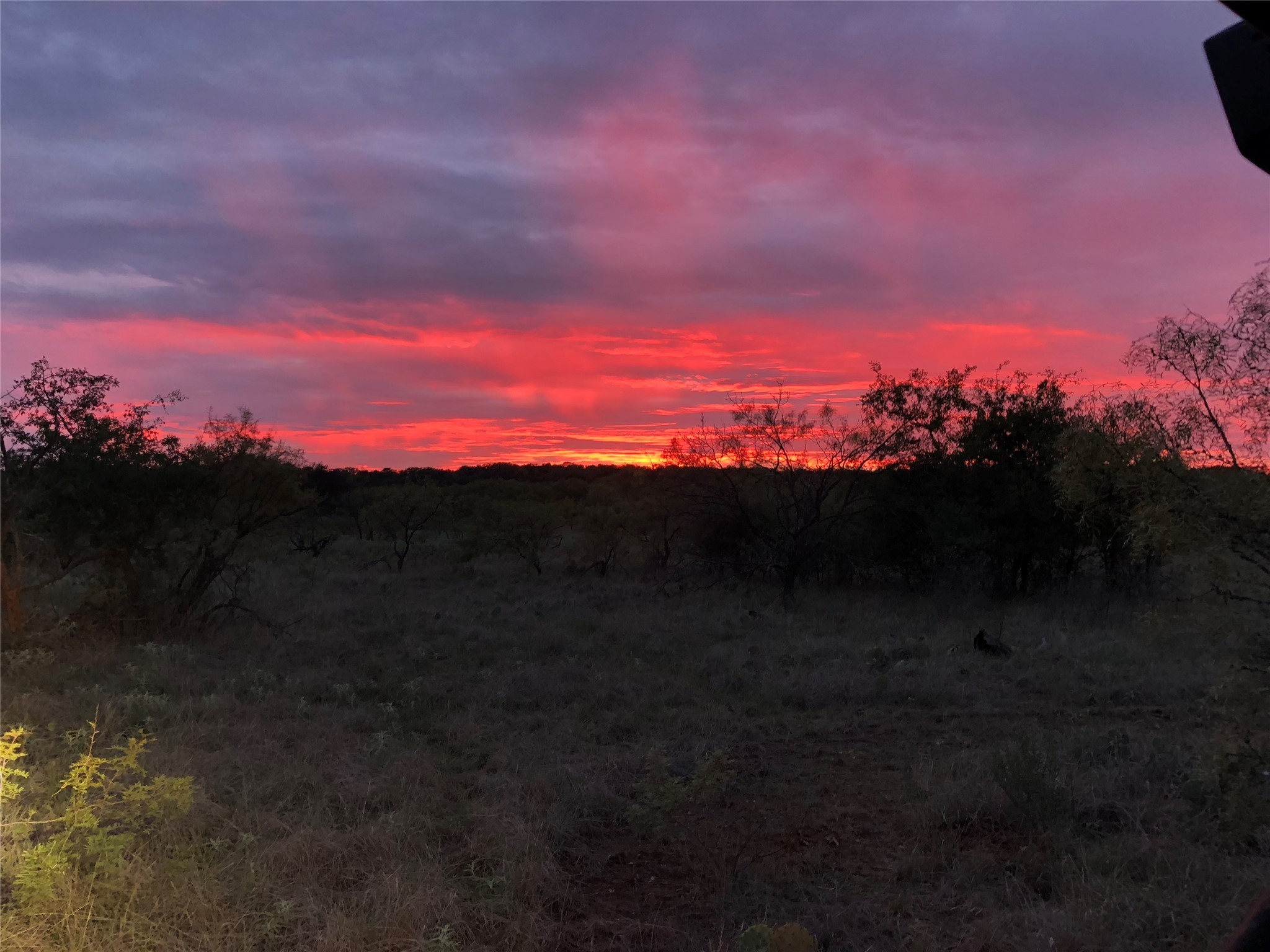 573 County Road 412 Carbon TX 76435