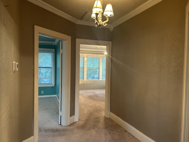 1007 N Center Street Bonham TX 75418