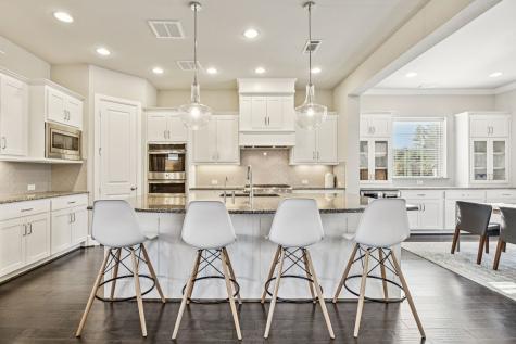 1787 Coralbead Road Frisco TX 75033