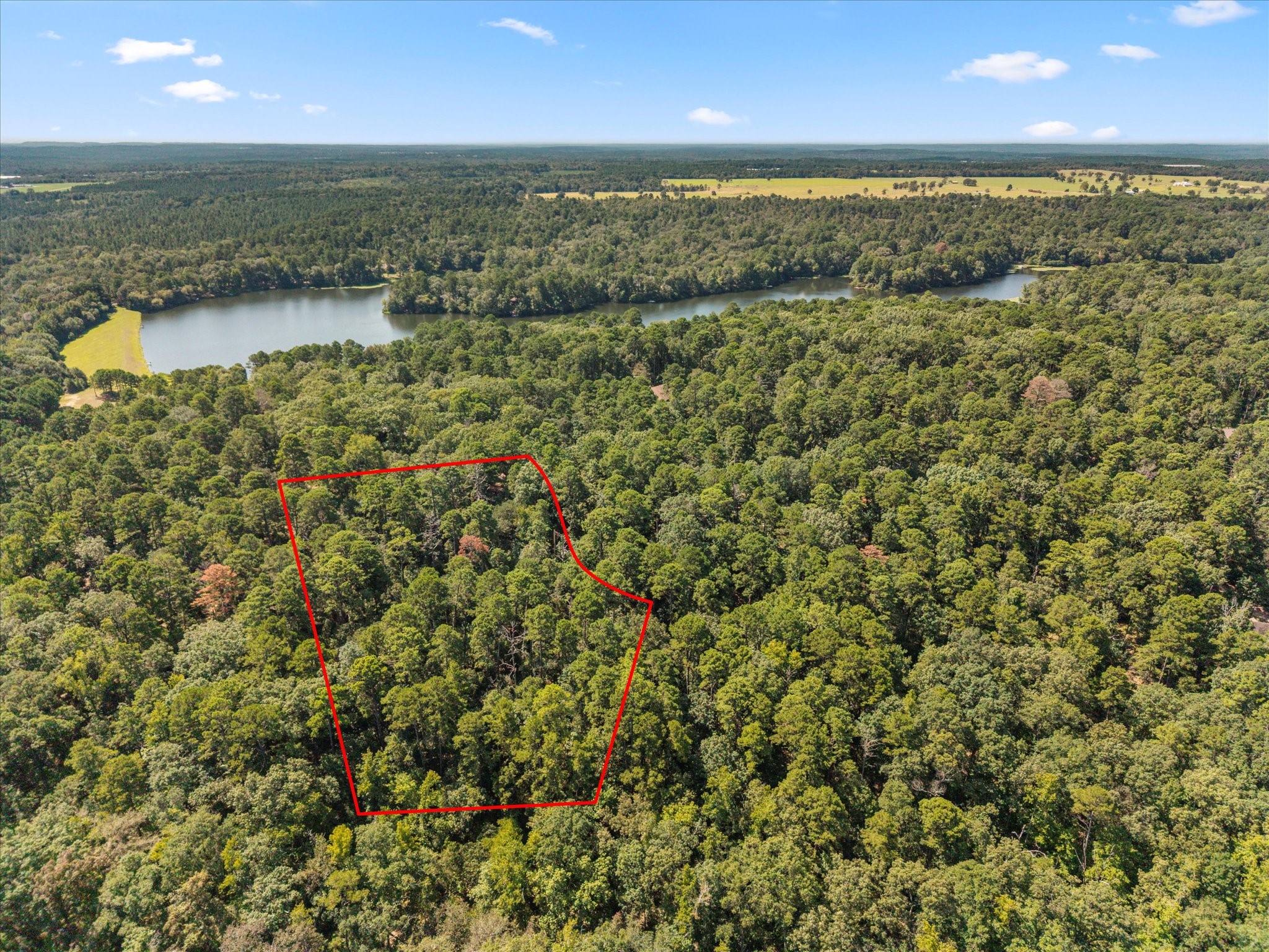 229 County Road 4554 Winnsboro TX 75494