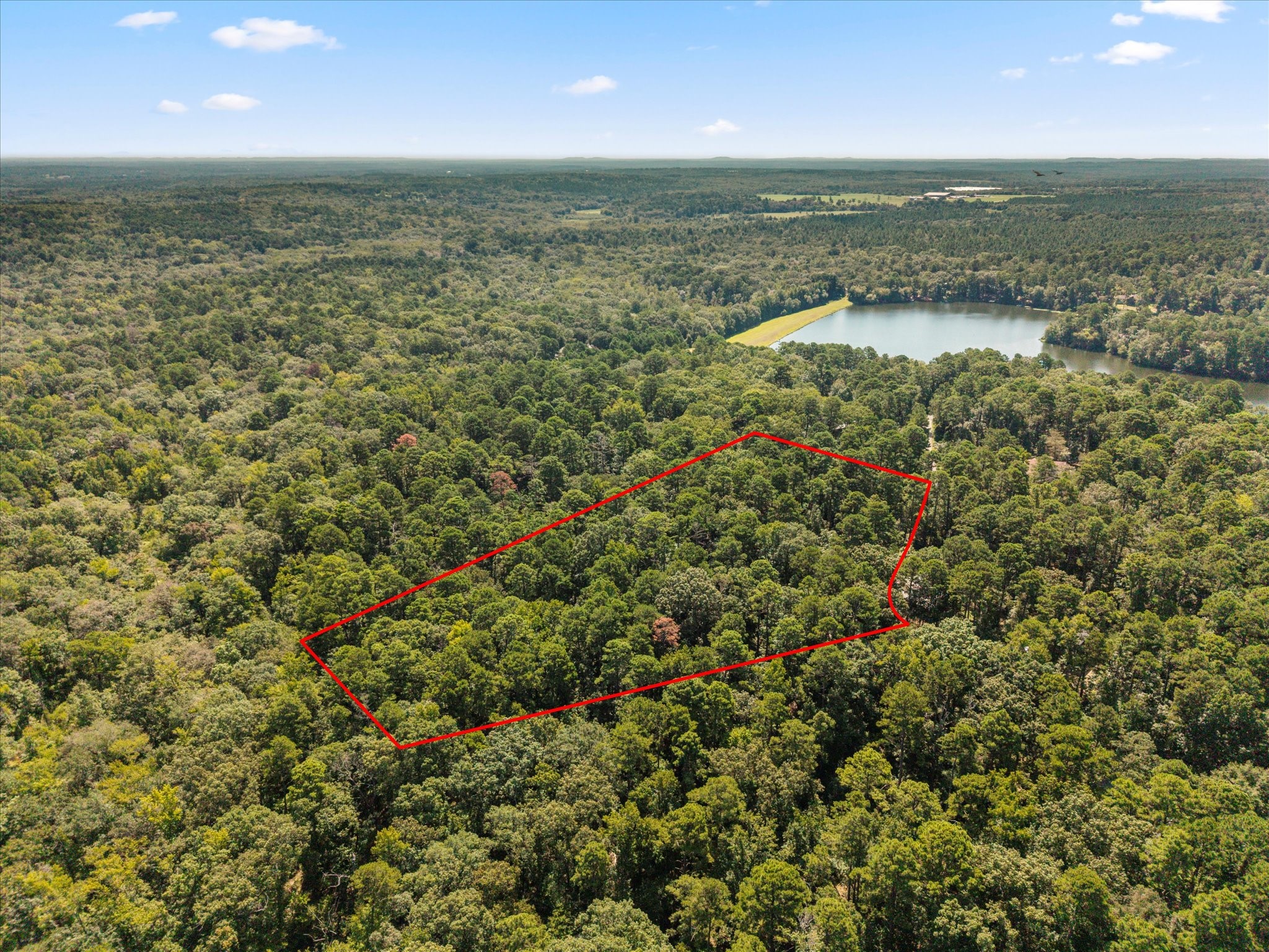 229 County Road 4554 Winnsboro TX 75494