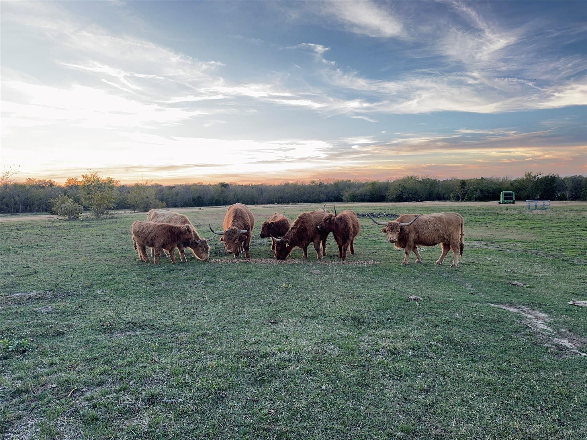 4081 Fm 2736 Campbell TX 75422