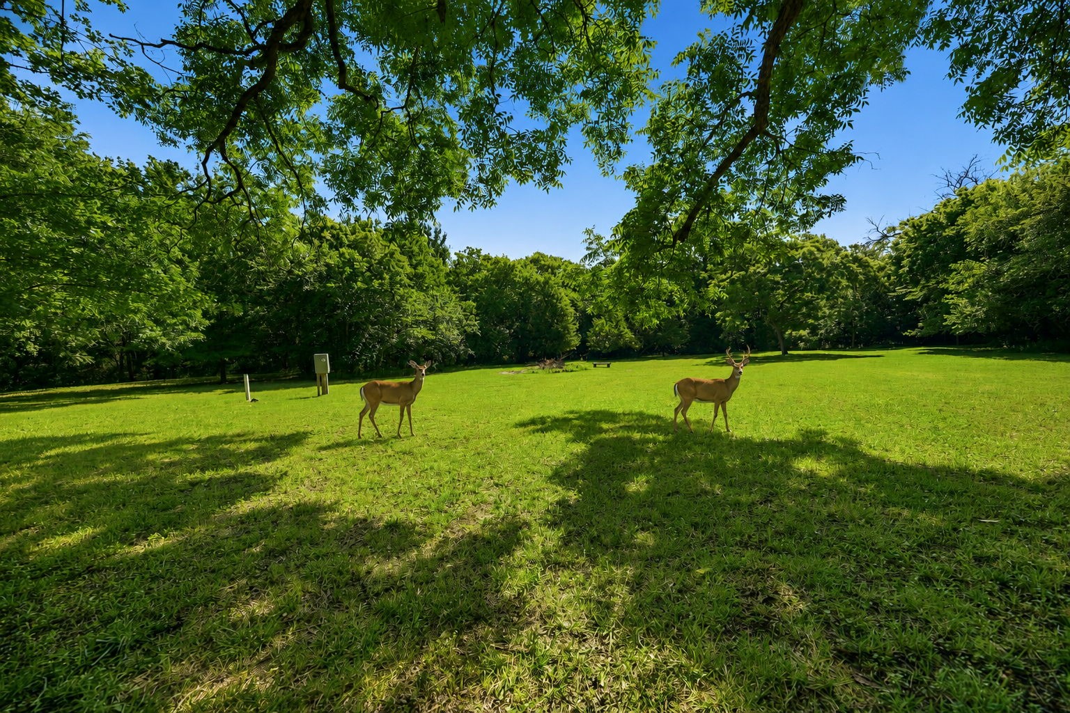 5314 County Road 465 Mckinney TX 75071
