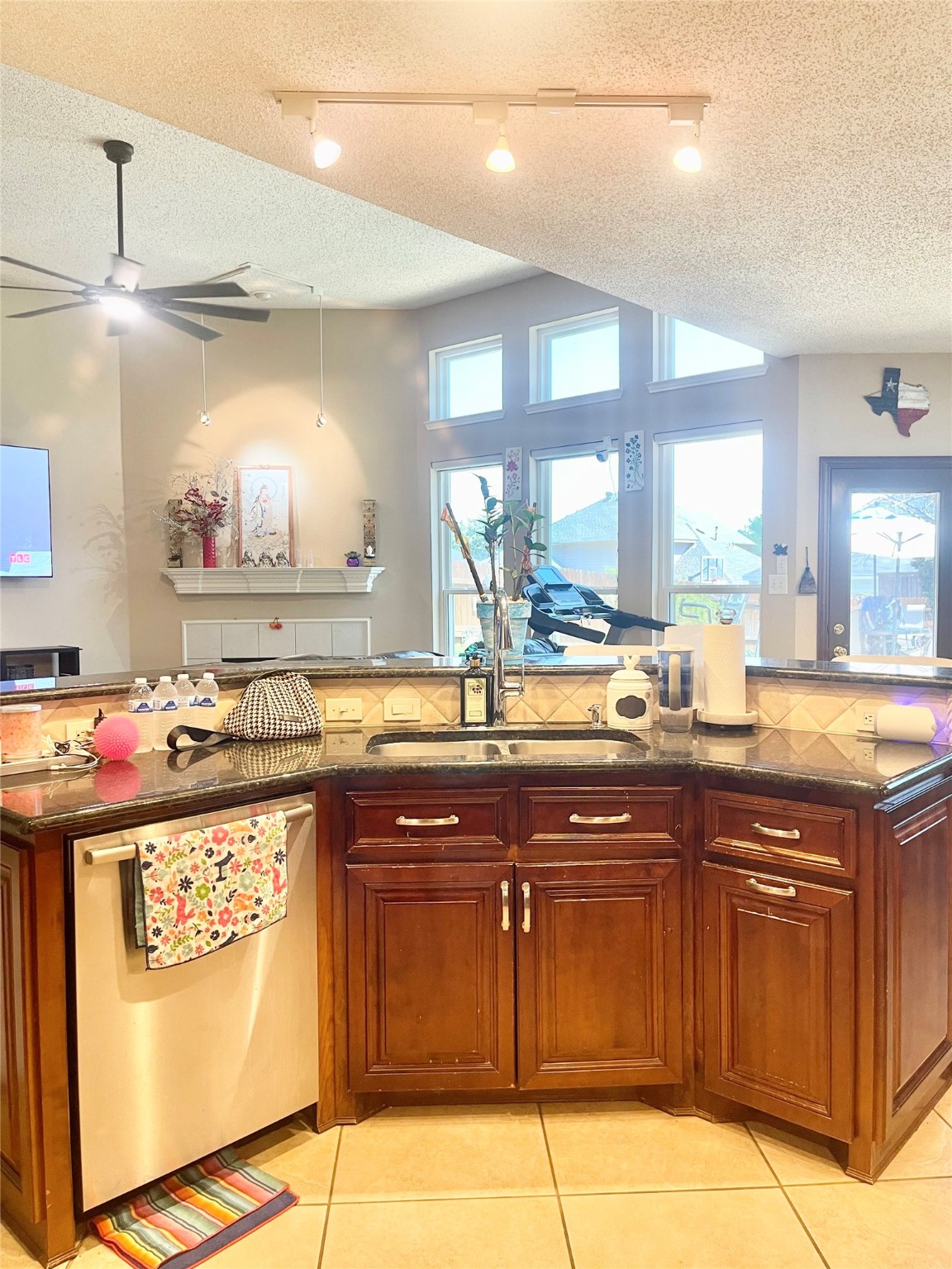 4408 Highridge Drive The Colony TX 75056