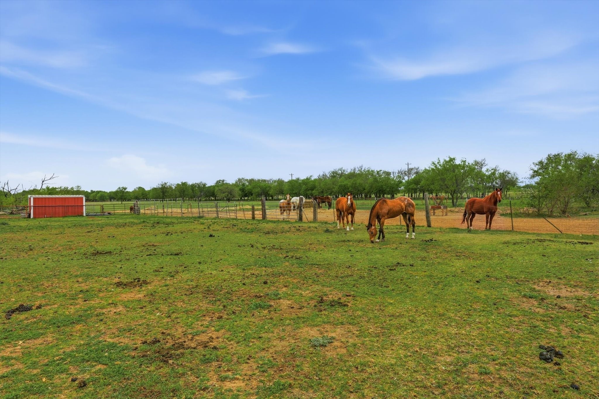 10965 Swafford Road Justin TX 76247